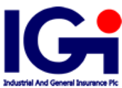 Industrial & General Insurance Plc logo